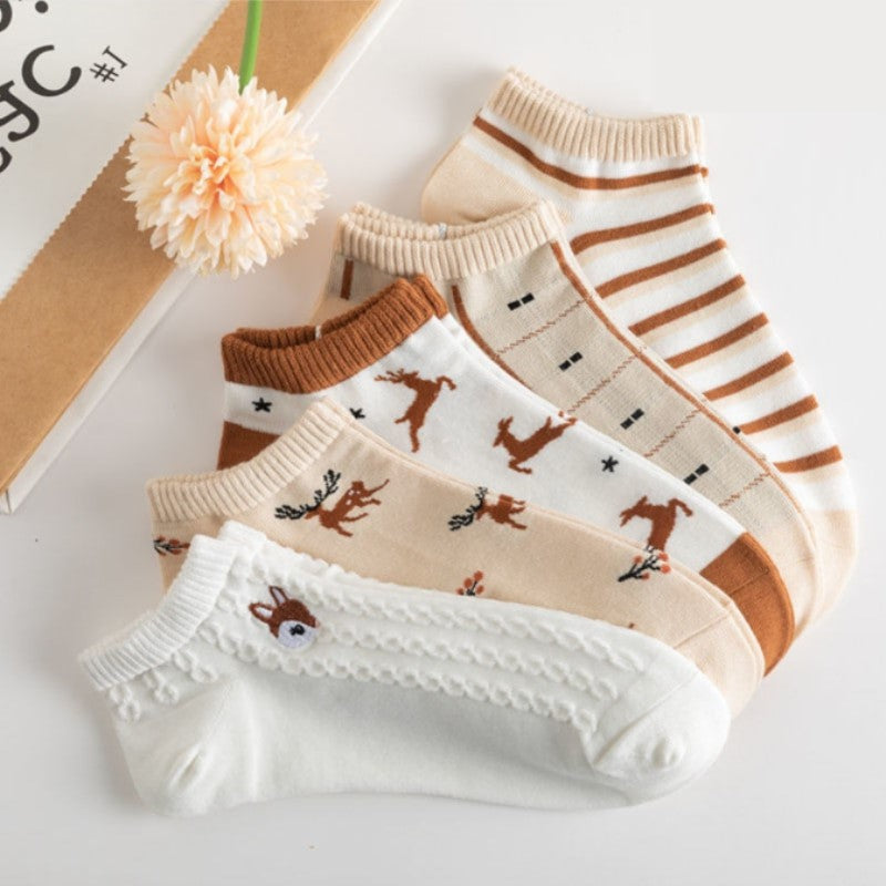 Lot de 5 paire de chaussette femme