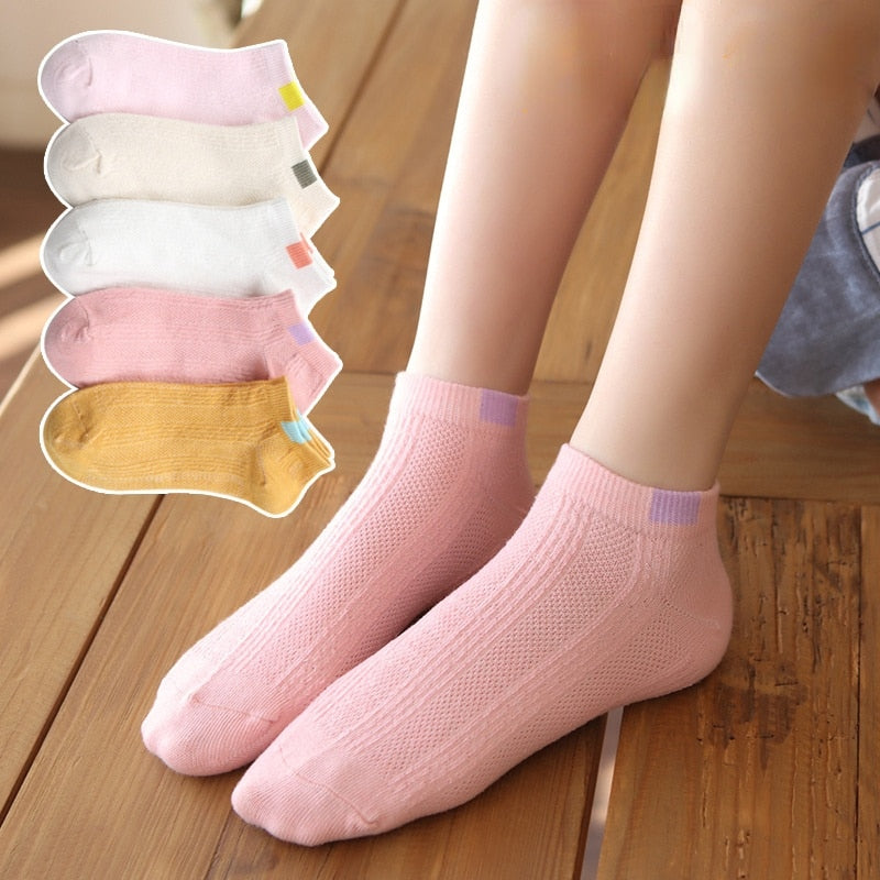 Lot de 5 paire de chaussette Femme