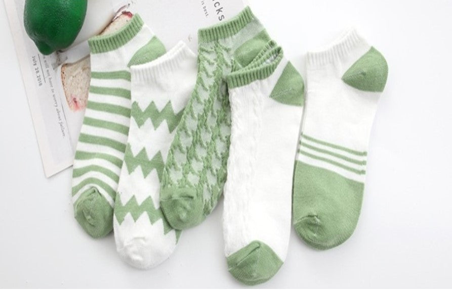 Lot de 5 paire de chaussette Femme